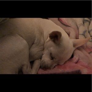 Meet your Posher, Giovanna